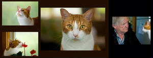 animalportraitproject.jpg
