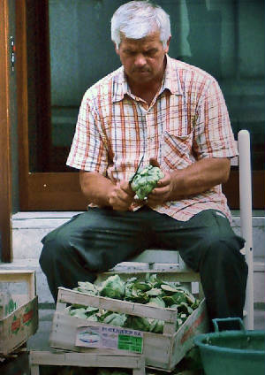 webassets/Whartichokesalesup.jpg
