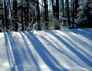 webassets/roadshadows1.jpg